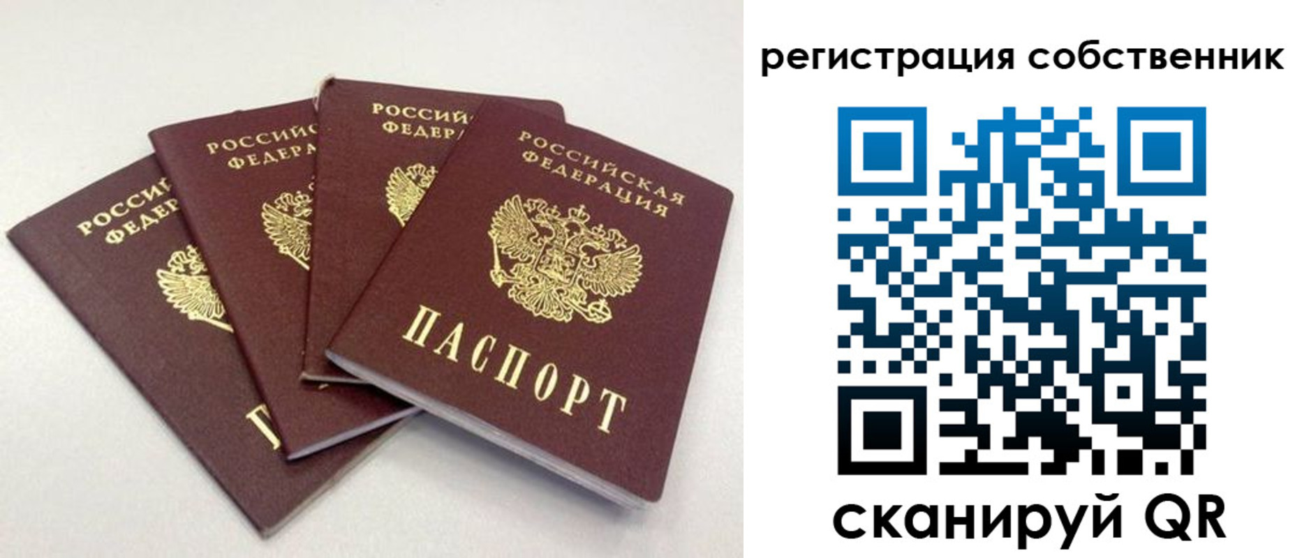 прописка для школы в Воскресенске